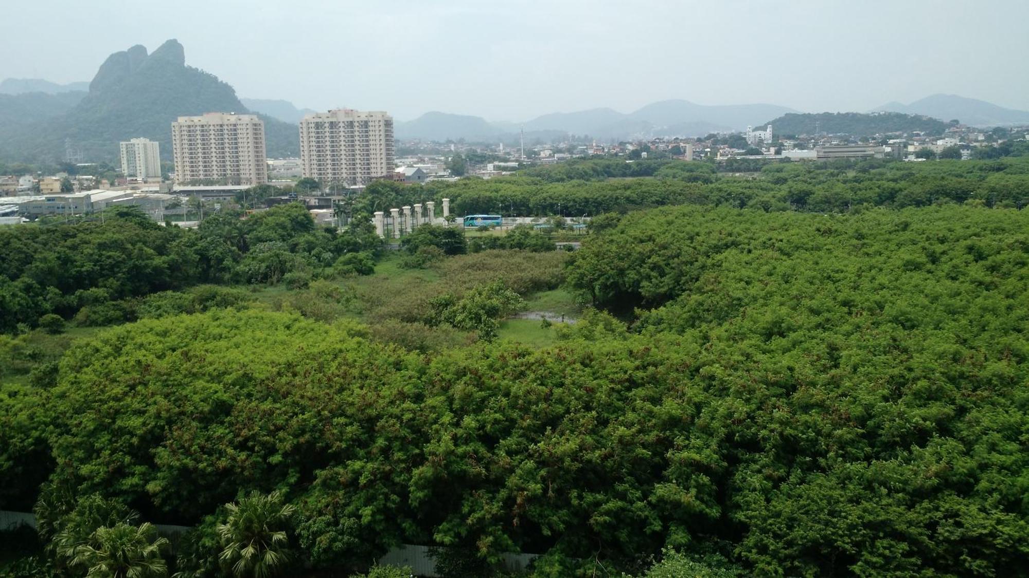 Apartamento Verano Barra Olimpica *